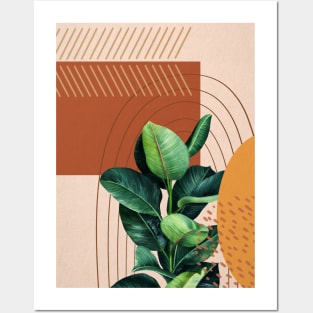 Mid Century Modern Ficus Illustration, Abstract Botanical Illustration Posters and Art